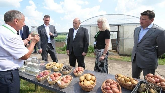 Московская область, Кашира, деревня Топканово. Председатель Правительства РФ Михаил Мишустин во время посещения предприятия «Фермерское хозяйство «СеДеК». Фото: сайт Правительства РФ government.ru