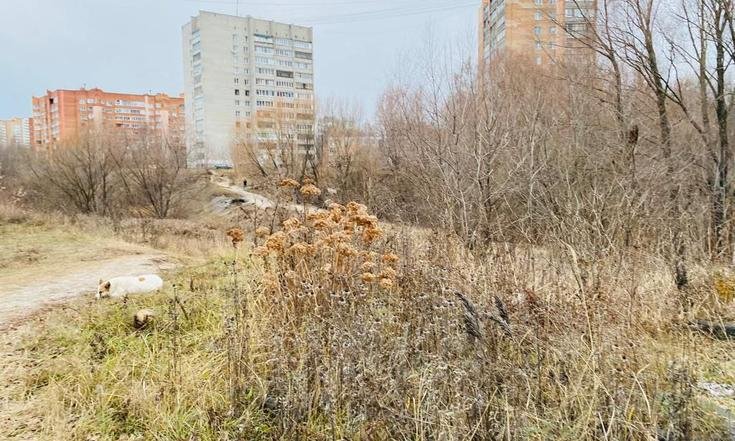 Рязань, микрорайон Юбилейный. Территория микрорайона в состоянии на дату личного приема граждан, проведенного А.К.Ниязметовым 3 июня 2022 года