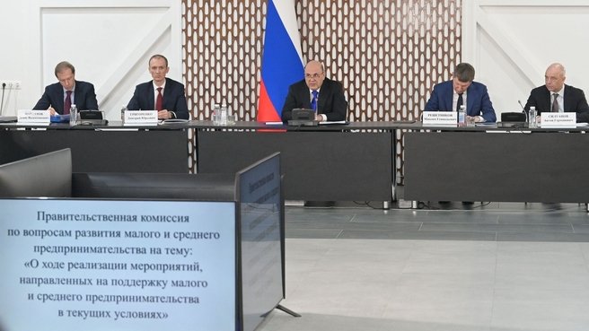 Московская область, Орехово-Зуевский городской округ, деревня Губино. Заседание Правительственной комиссии по вопросам развития малого и среднего предпринимательства. Фото: сайт Правительства РФ www.government.ru