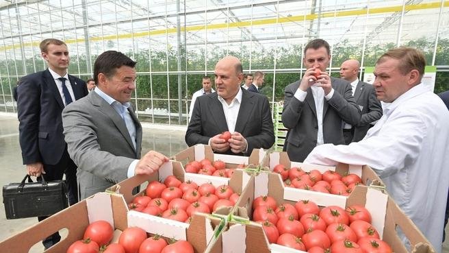 Московская область, Кашира, посёлок Новосёлки. Председатель Правительства РФ Михаил Мишустин во время посещения тепличного комплекса «Агрокультура Групп». Фото: сайт Правительства РФ government.ru