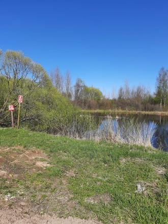 Ивановская область, Комсомольский район, село Писцово. Пляж до обустройства зоны отдыха и очистки пруда (к личному приему граждан, проведенному М.А.Бубеном 27 мая 2021 года)