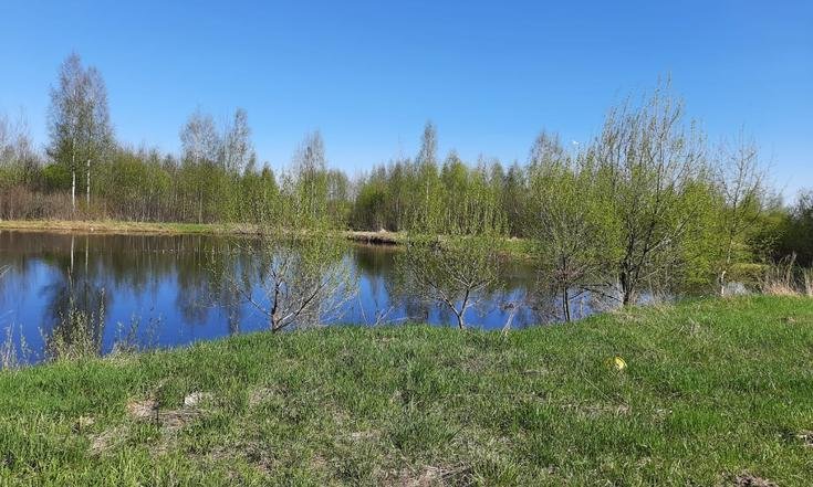 Ивановская область, Комсомольский район, село Писцово. Пляж до обустройства зоны отдыха и очистки пруда (к личному приему граждан, проведенному М.А.Бубеном 27 мая 2021 года)