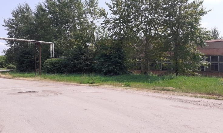 Тульская область, Ефремовский район, деревня Заречье. Тротуар от предприятия «АКС» до дома № 12 в состоянии на дату личного приема граждан, проведенного М.М.Зязиковым 20 июля 2022 года