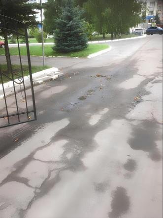 Брянск, улица Советская, 98. Состояние здания Брянского городского лицея № 1 на дату личного приема граждан, проведенного С.В.Нештенко 18.08.2023