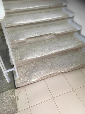 Брянск, улица Советская, 98. Состояние здания Брянского городского лицея № 1 на дату личного приема граждан, проведенного С.В.Нештенко 18.08.2023