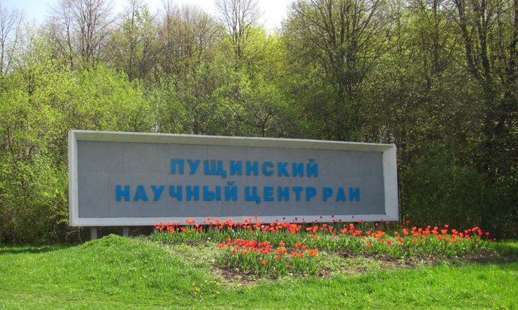 Фото с сайта Института биологического приборостроения с опытным производством Российской академии наук Ibp-ran.ru