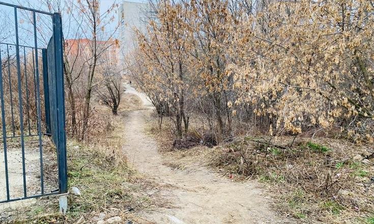 Рязань, микрорайон Юбилейный. Территория микрорайона в состоянии на дату личного приема граждан, проведенного А.К.Ниязметовым 3 июня 2022 года