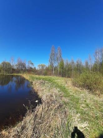 Ивановская область, Комсомольский район, село Писцово. Пляж до обустройства зоны отдыха и очистки пруда (к личному приему граждан, проведенному М.А.Бубеном 27 мая 2021 года)