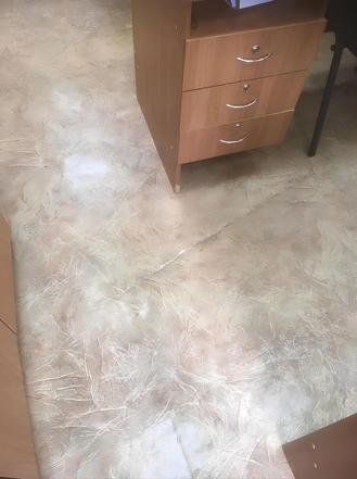 Брянск, улица Советская, 98. Состояние здания Брянского городского лицея № 1 на дату личного приема граждан, проведенного С.В.Нештенко 18.08.2023