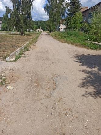 Ивановская область, Гаврилово-Посадский район, село Липовая Роща. Дорога вдоль домов № 9–11 по улице Юбилейной в состоянии на дату личного приема граждан, проведенного А.Н.Мошковым 14 июля 2022 года