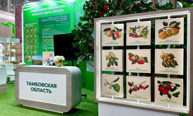 Москва, Верхняя аллея, 6. 27 Российская агропромышленная выставка «Золотая осень». Фото: tambov.gov.ru