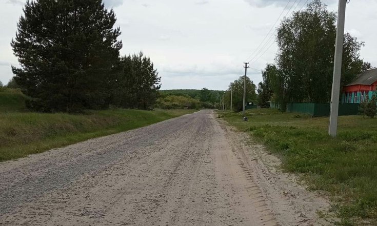 Тамбовская область. Состояние автомобильной дороги, которая проходит через село Перевоз, на дату личного приема граждан, проведенного А.Ю.Петуховым 25.04.2024.