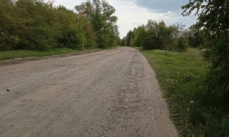 Тамбовская область. Состояние автомобильной дороги, которая проходит через село Перевоз, на дату личного приема граждан, проведенного А.Ю.Петуховым 25.04.2024.