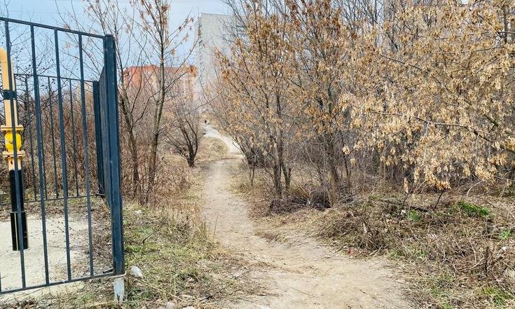 Рязань, микрорайон Юбилейный. Территория микрорайона в состоянии на дату личного приема граждан, проведенного А.К.Ниязметовым 3 июня 2022 года