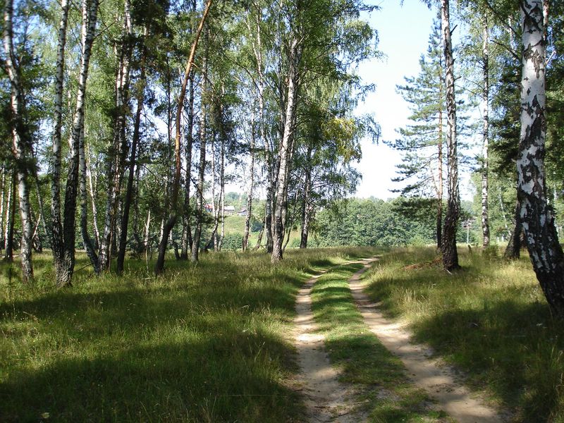В Тамбовской области образованы два новых памятников природы