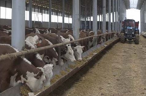Поставка местной продукции
