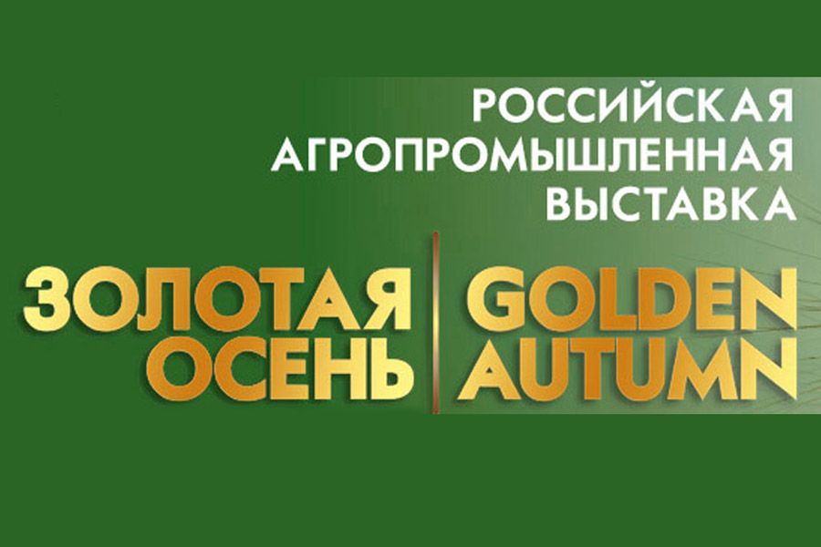 Золотой результат «Золотой осени». У курян - 91 медаль