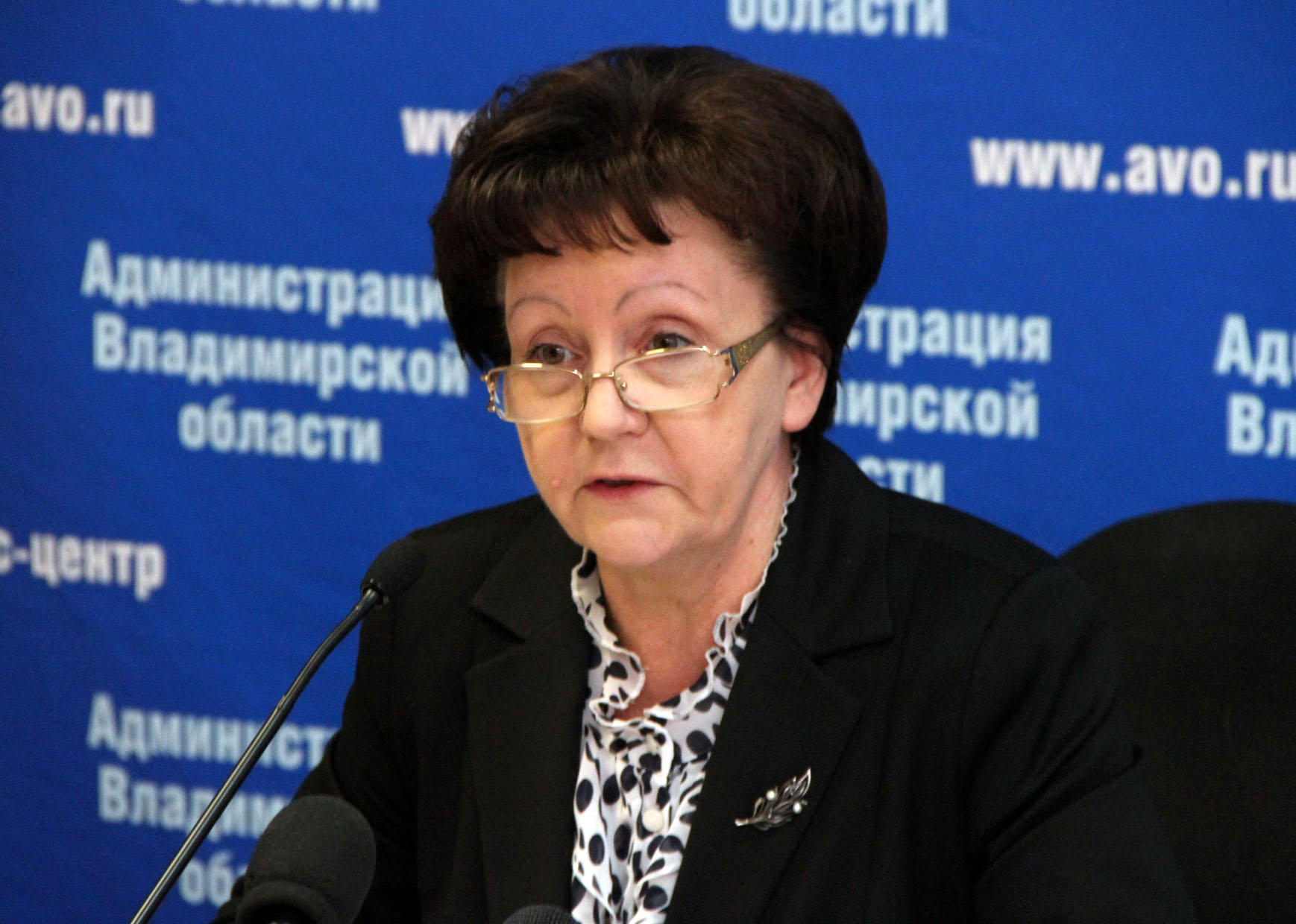В администрации Владимирской области состоялась пресс-конференция директора департамента образования Ольги Беляевой