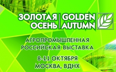 «Золотая осень-2014» богата не только медалями