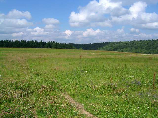 село природа экология