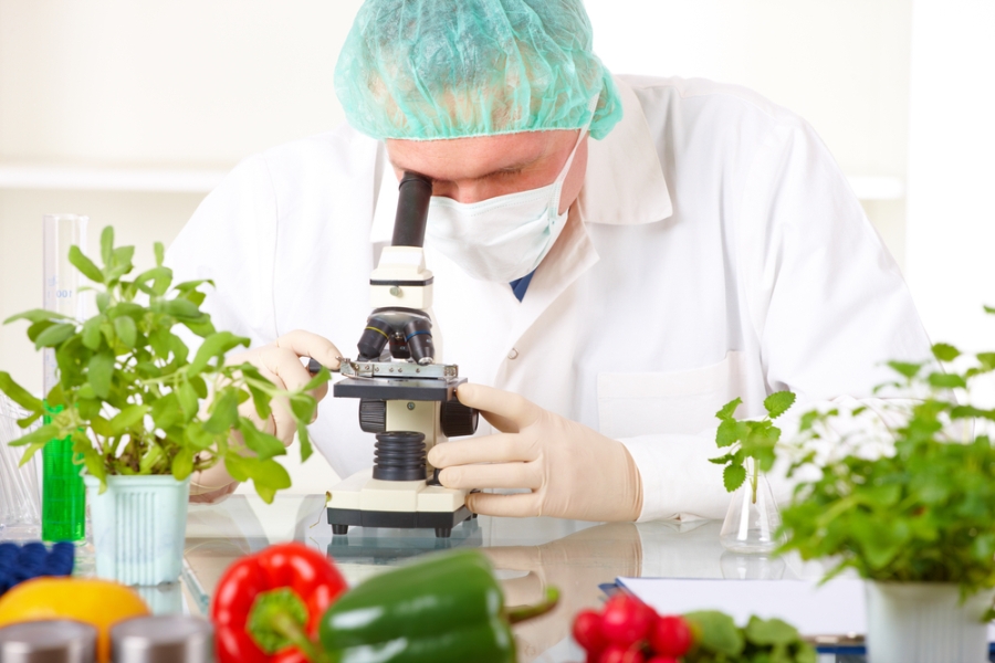 Система контроля безопасности продуктов питания в Орловской области признана эффективной