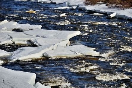 В ЦФО в период прохождения весеннего половодья открыты специальные «горячие линии»