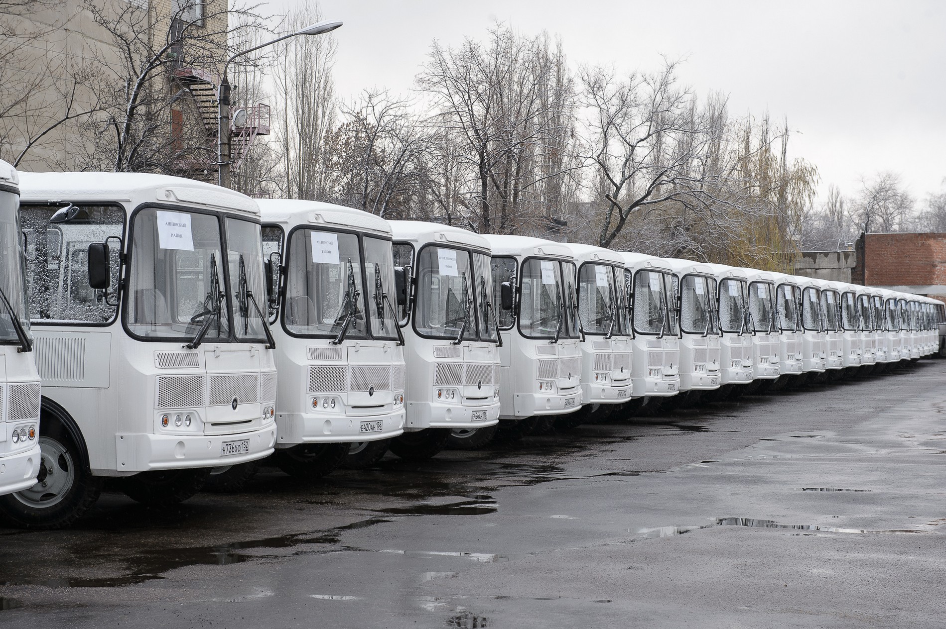 В районы Воронежской области отправились 58 новых автобусов