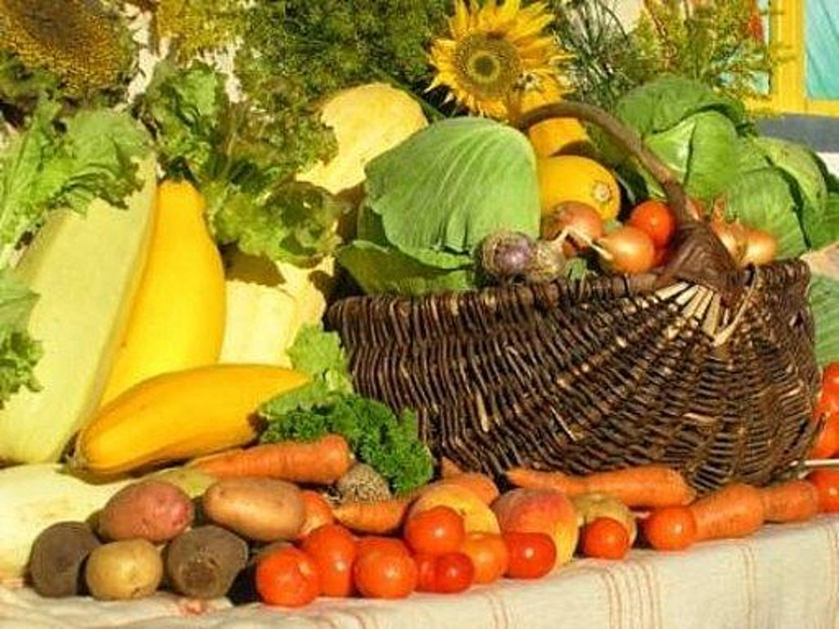 Продукты еда питание