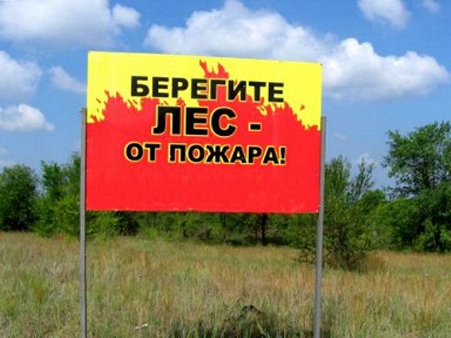 Пожарная обстановка в лесах Тамбовщины находится под контролем