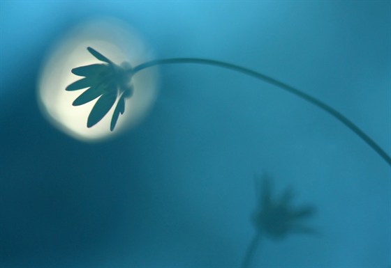 природа