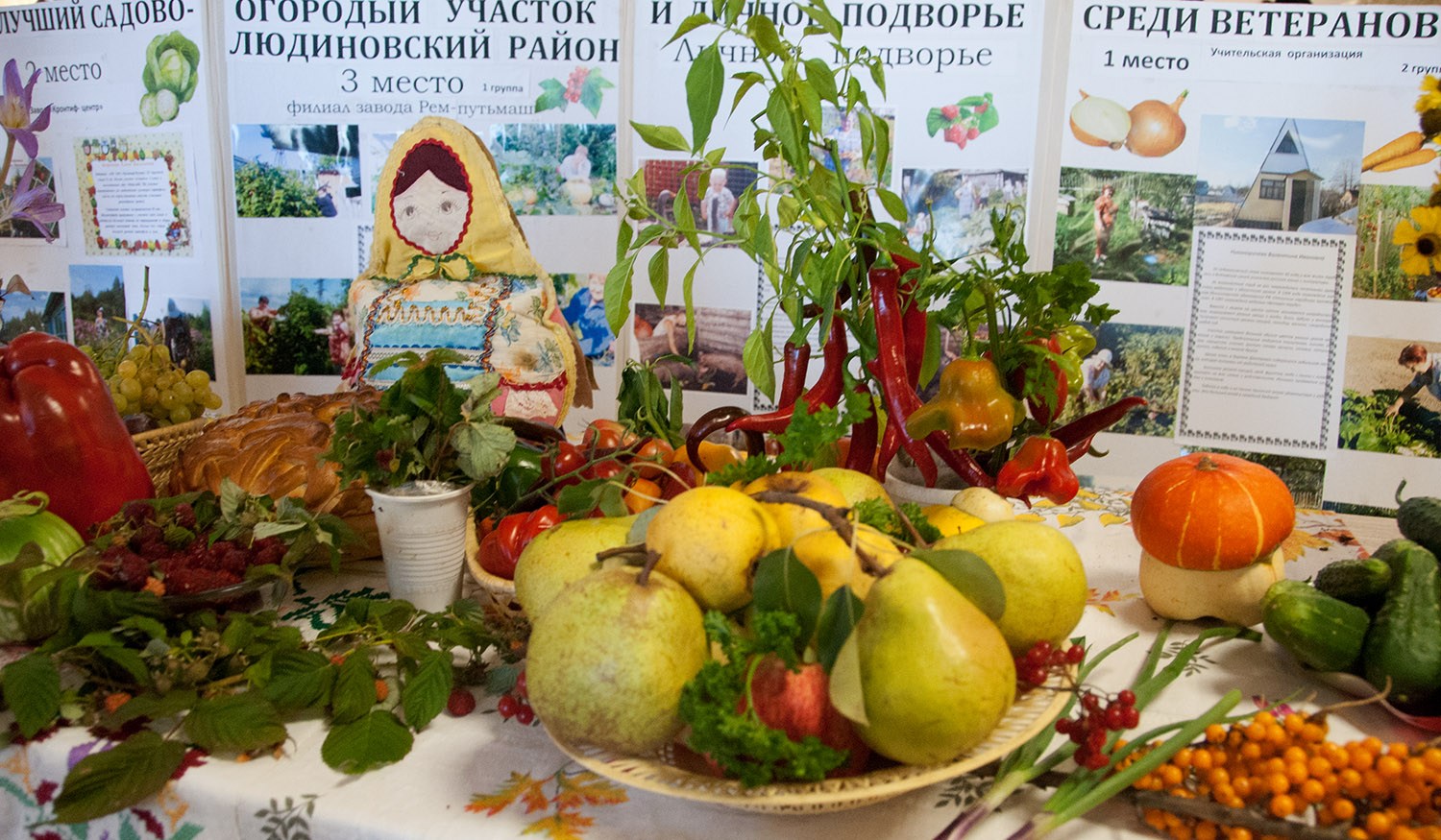 В Калужской области оценили продукцию ветеранских подворий