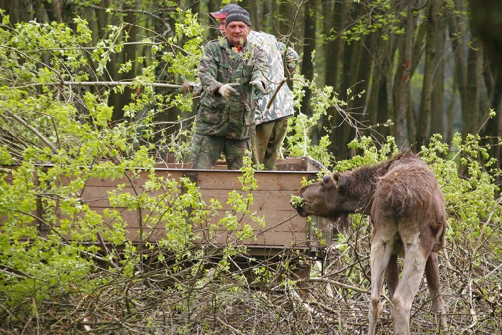 Заповедное дело