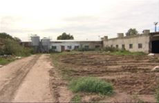 В Костромской области принята программа, направленная на развитие свиноводства и увеличение производства мяса