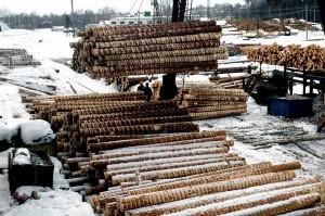 Плата за использование лесных ресурсов