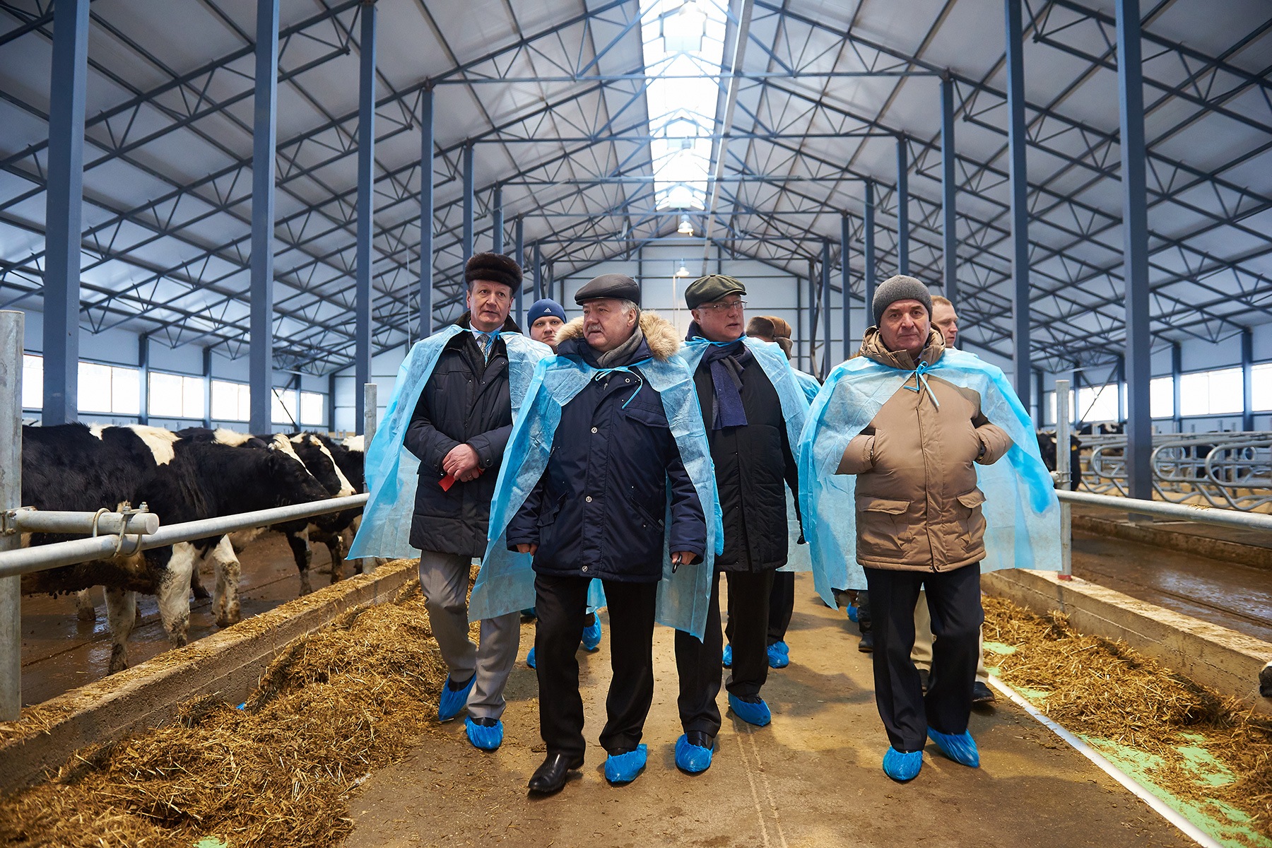 В Боровском районе открыли одну из крупнейших роботизированных ферм в регионе