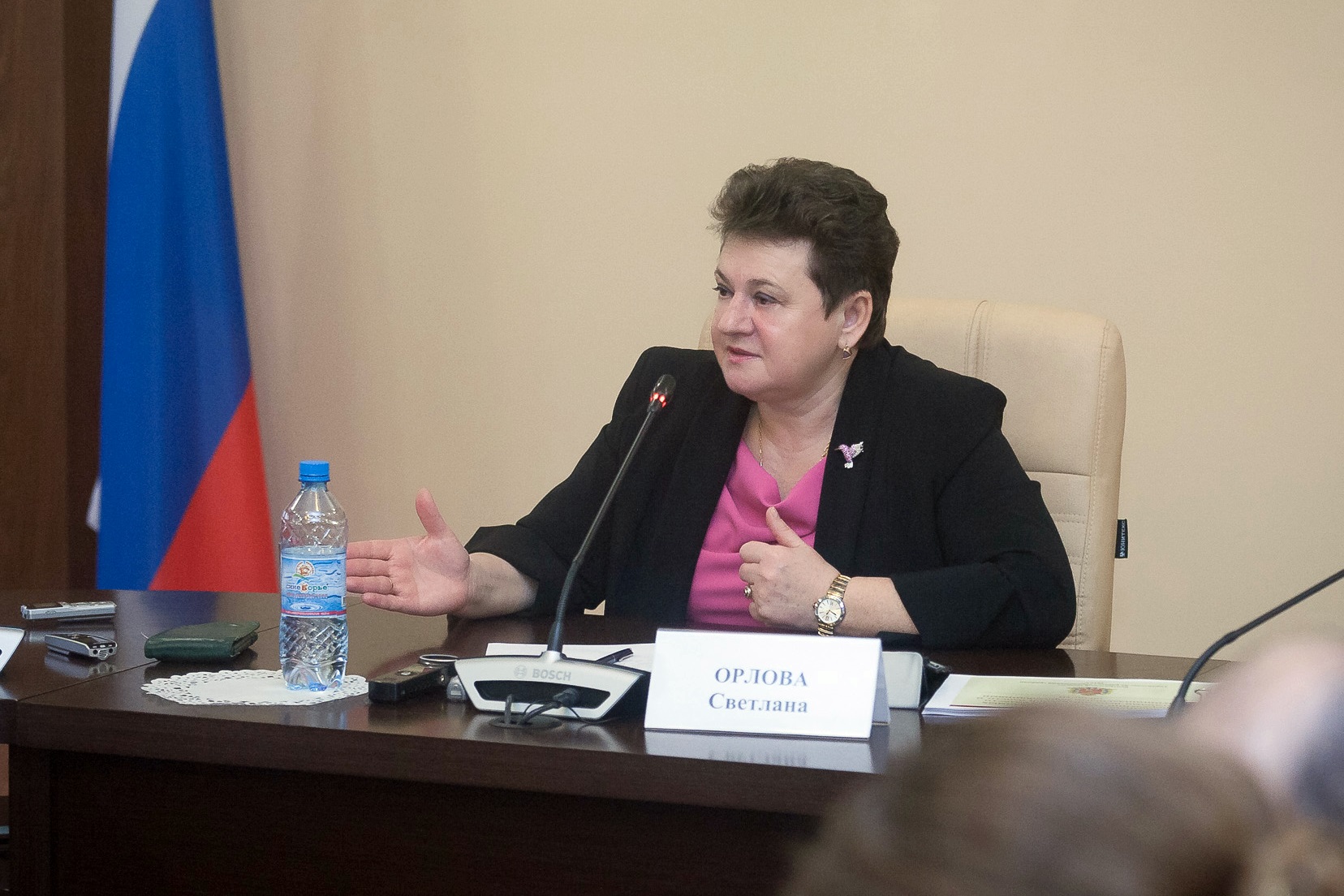 Светлана Орлова: «В 2016 году экономика Владимирской области работала стабильно и устойчиво"